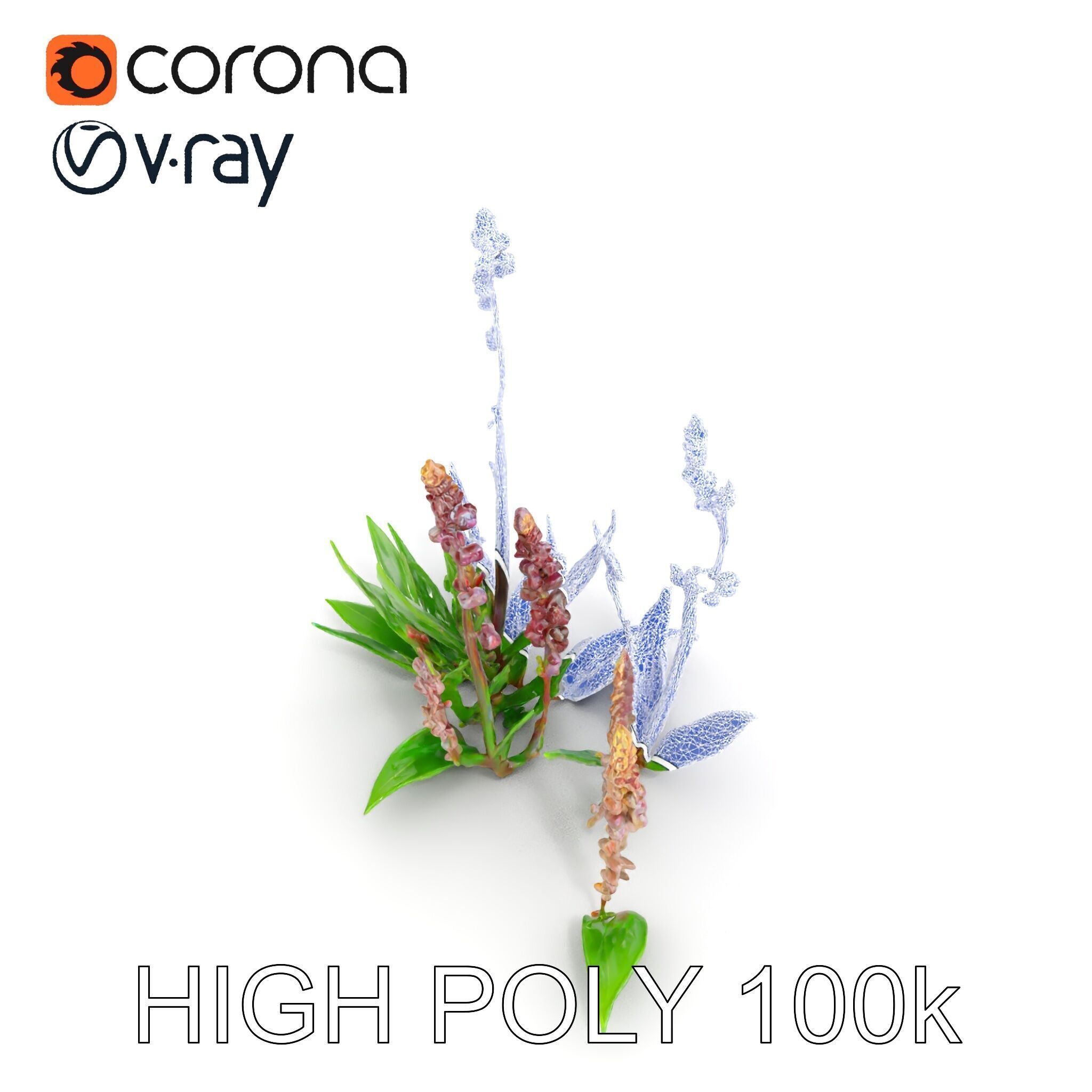 Violet Flower Collection D Model Pack Low-poly 3D model_30