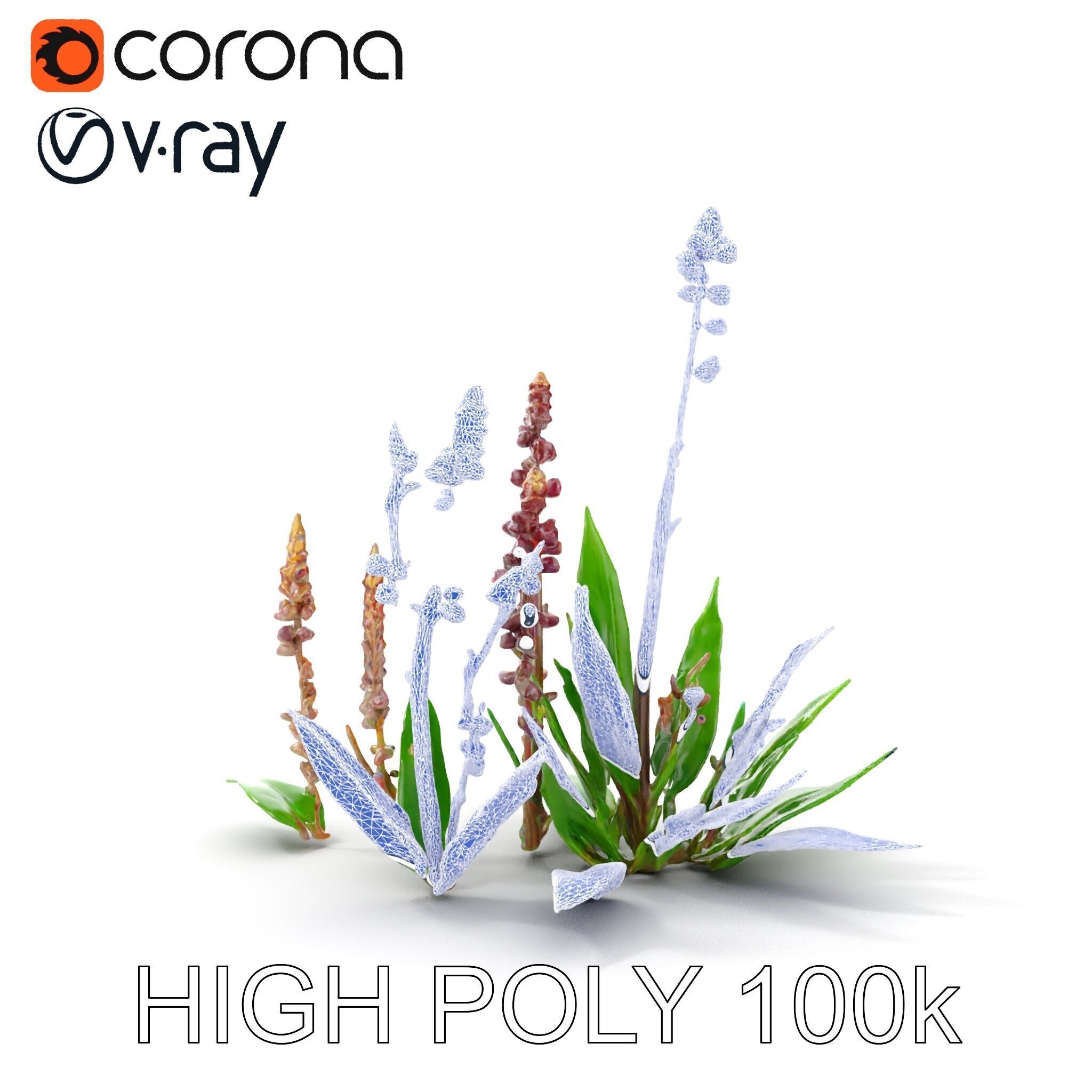 Violet Flower Collection D Model Pack Low-poly 3D model_15