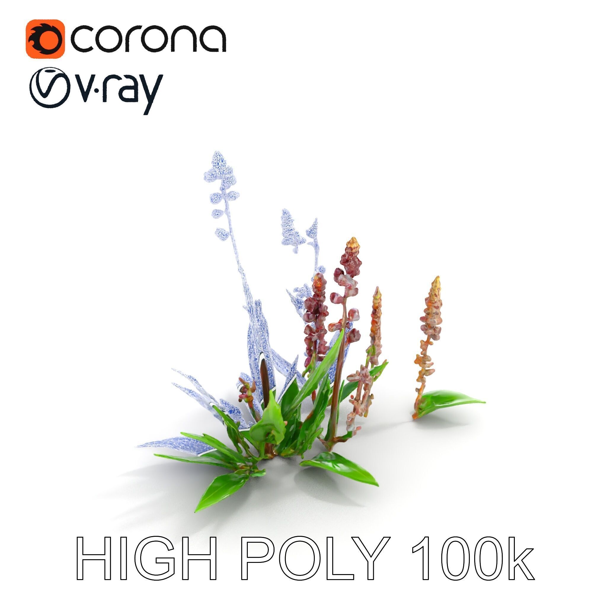 Violet Flower Collection D Model Pack Low-poly 3D model_22