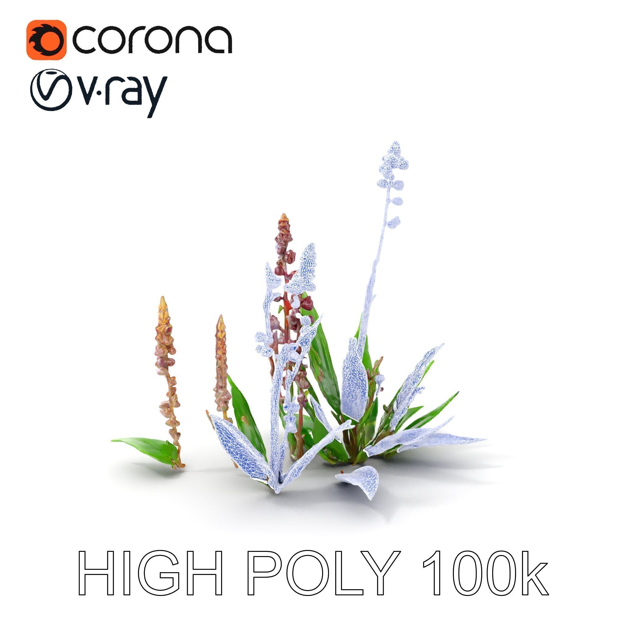 Violet Flower Collection D Model Pack Low-poly 3D model_18