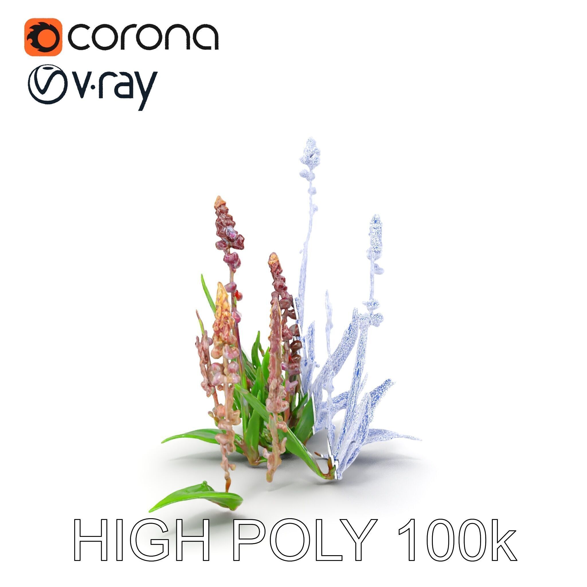 Violet Flower Collection D Model Pack Low-poly 3D model_29