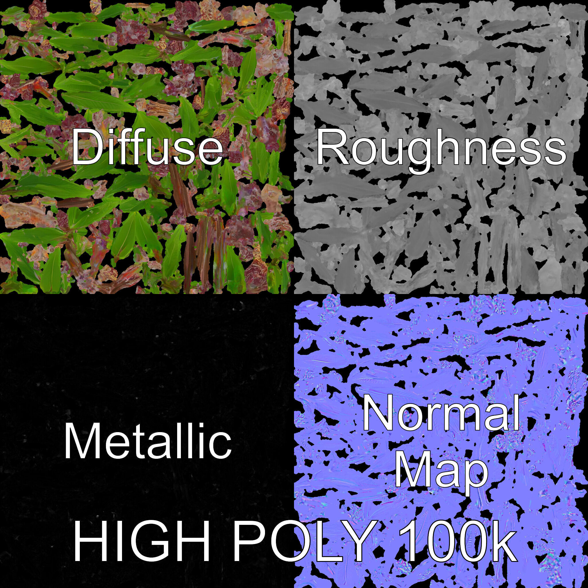 Violet Flower Collection D Model Pack Low-poly 3D model_4