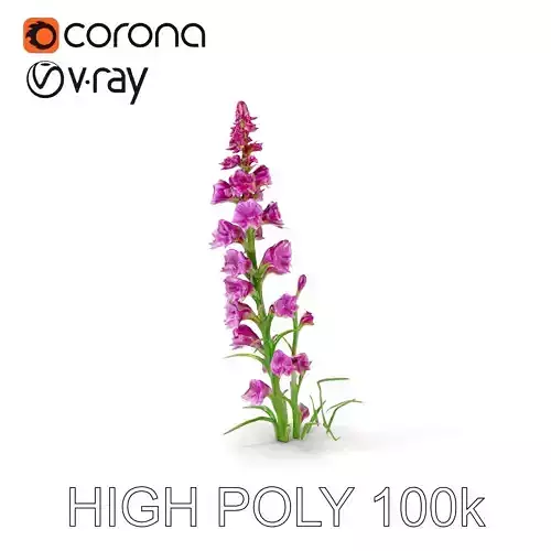 Purple Flower Model Pack for Rendering and Game Engines