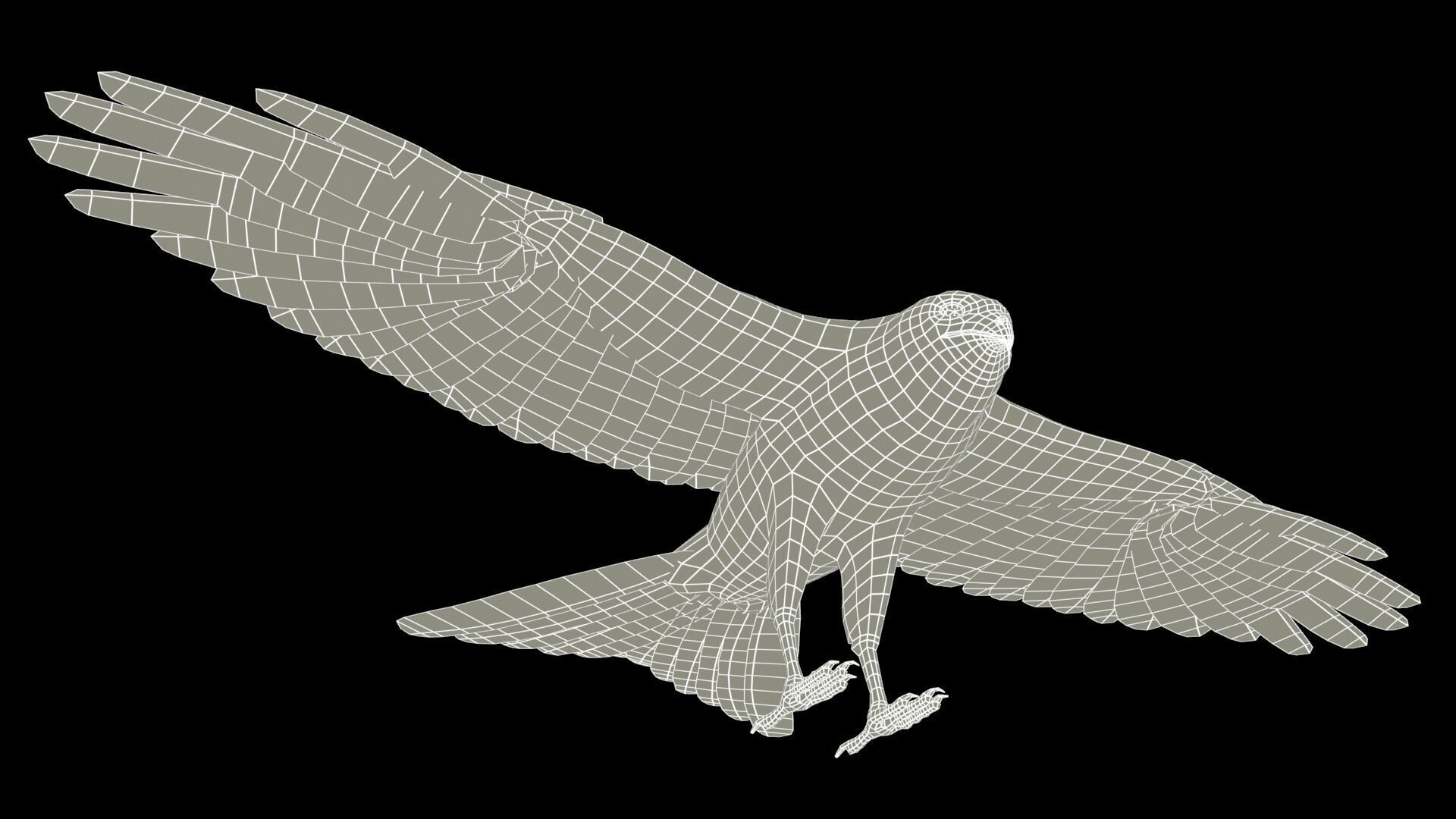 Red Kite Low-poly 3D model_12