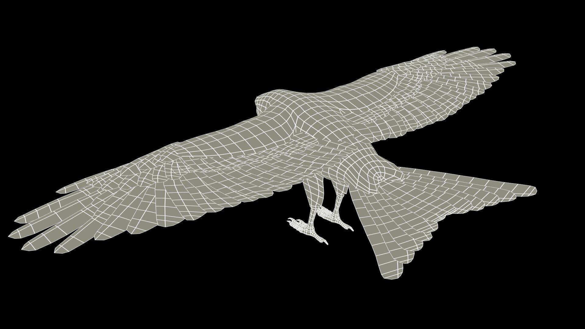 Red Kite Low-poly 3D model_11