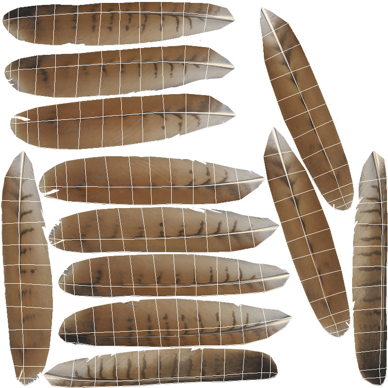 Red Kite Low-poly 3D model_14