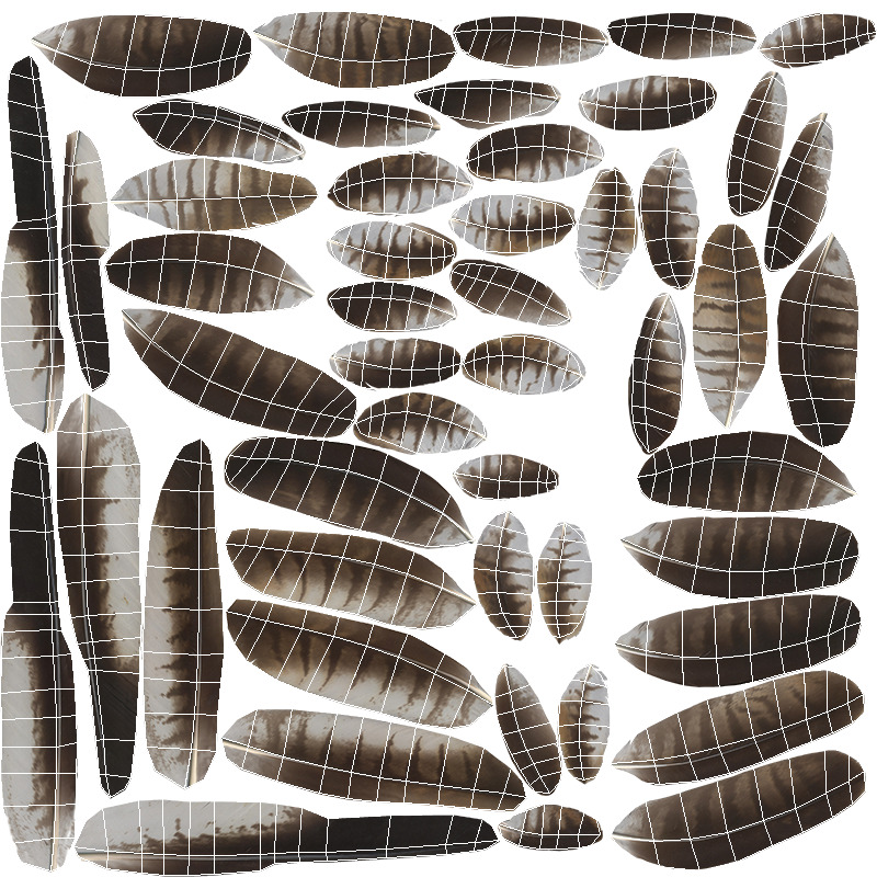 Red Kite Low-poly 3D model_15