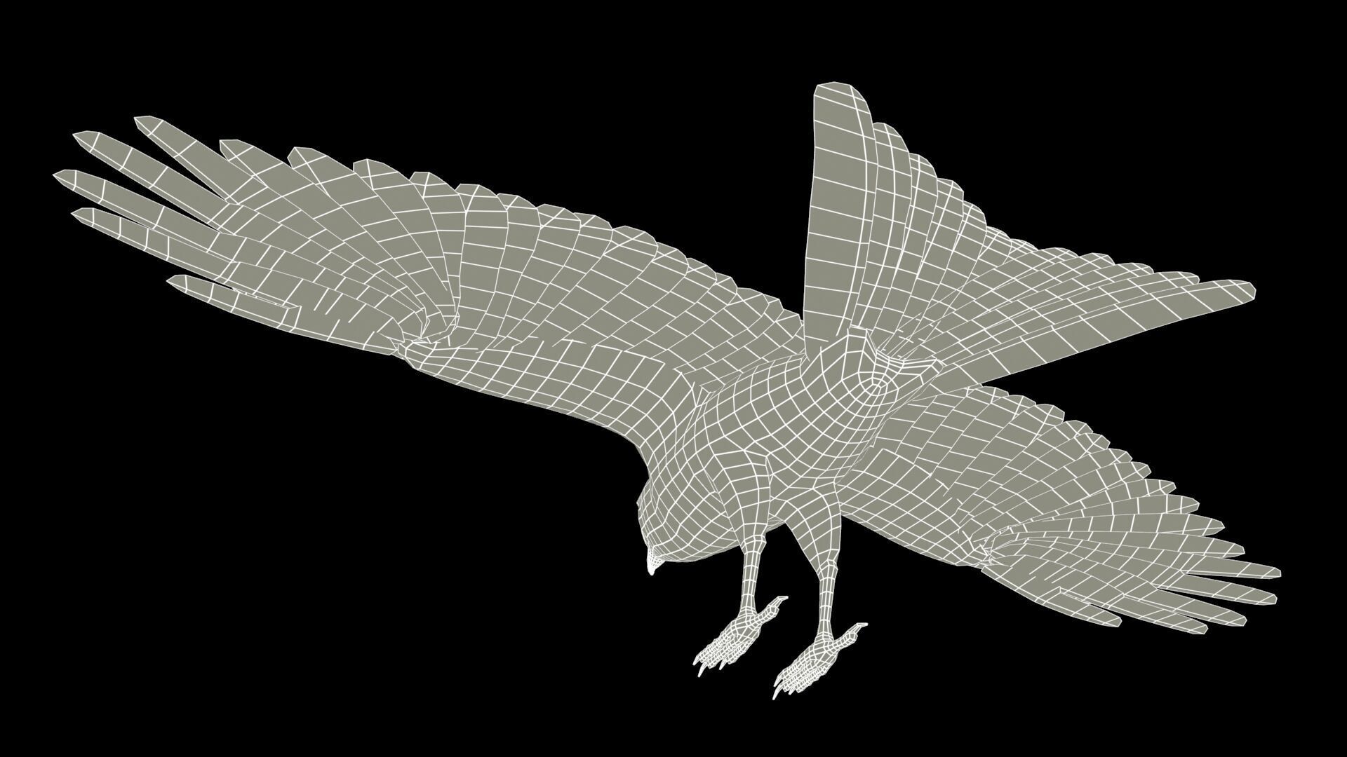 Red Kite Low-poly 3D model_13