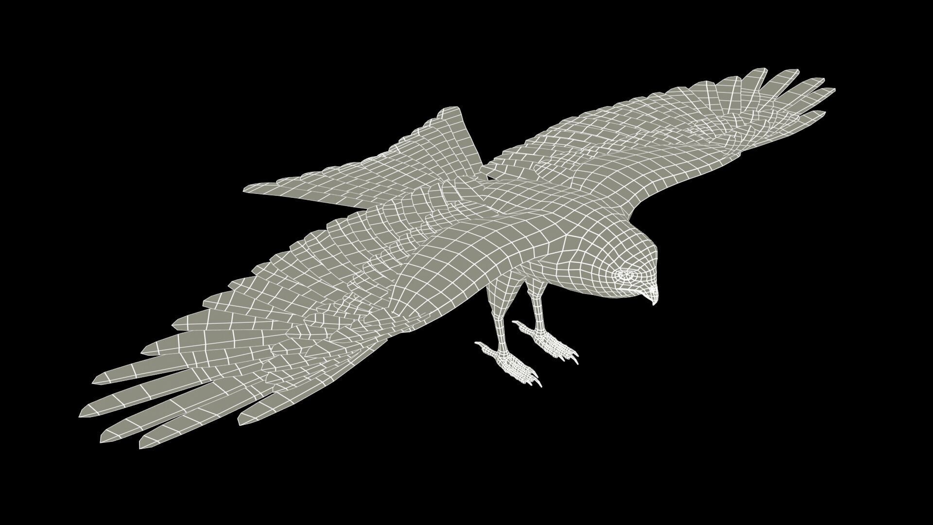 Red Kite Low-poly 3D model_10