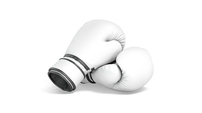 White Leather Boxing Gloves - sparring kickboxing equipment 3D model