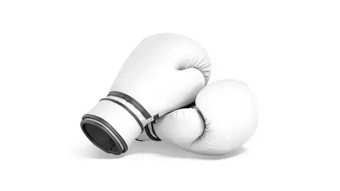 White Leather Boxing Gloves - sparring kickboxing equipment