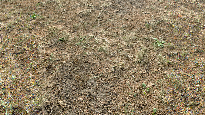 Rought Forest Tundra Textures Pack 1 Texture