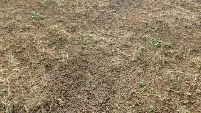 Rought Forest Tundra Textures Pack 1