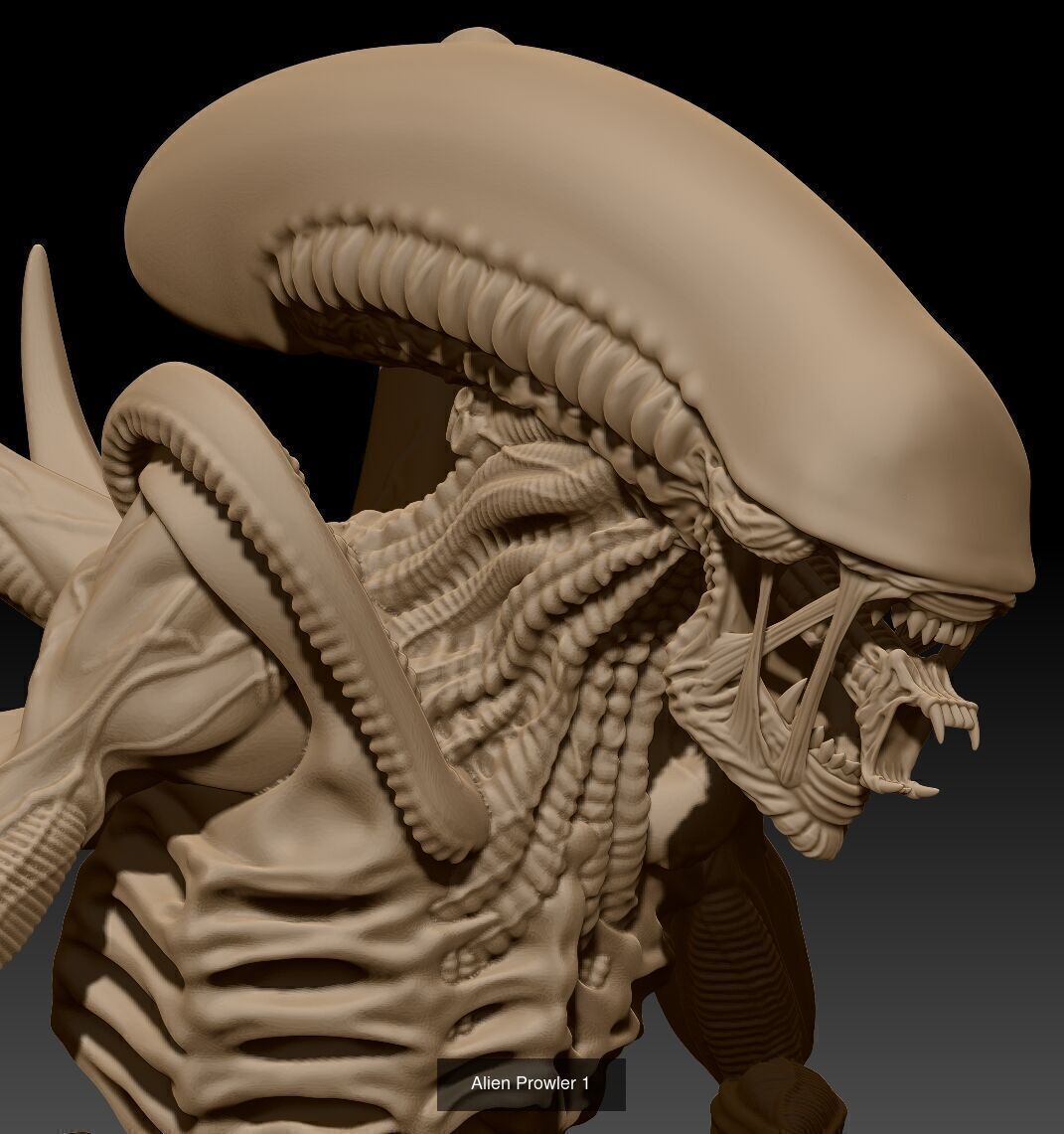 Prowler 3D Model Collection_2