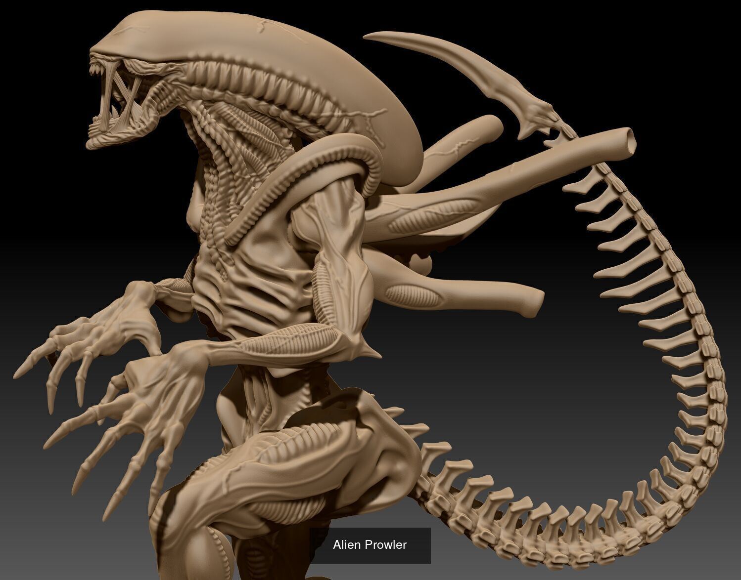 Prowler 3D Model Collection_1