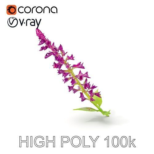 Vibrant Flower Model Pack  Realistic Floral Elements for D Sc... Low-poly 3D model