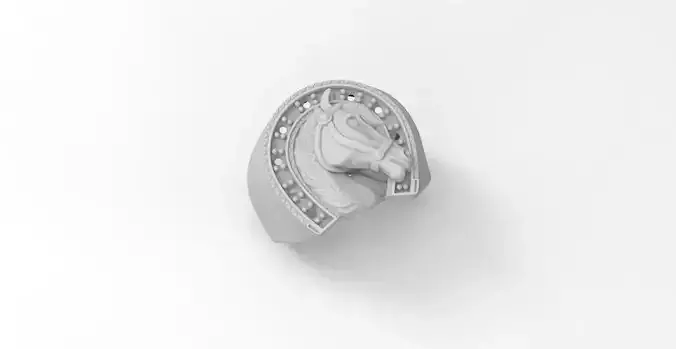 anillo herradura caballo 