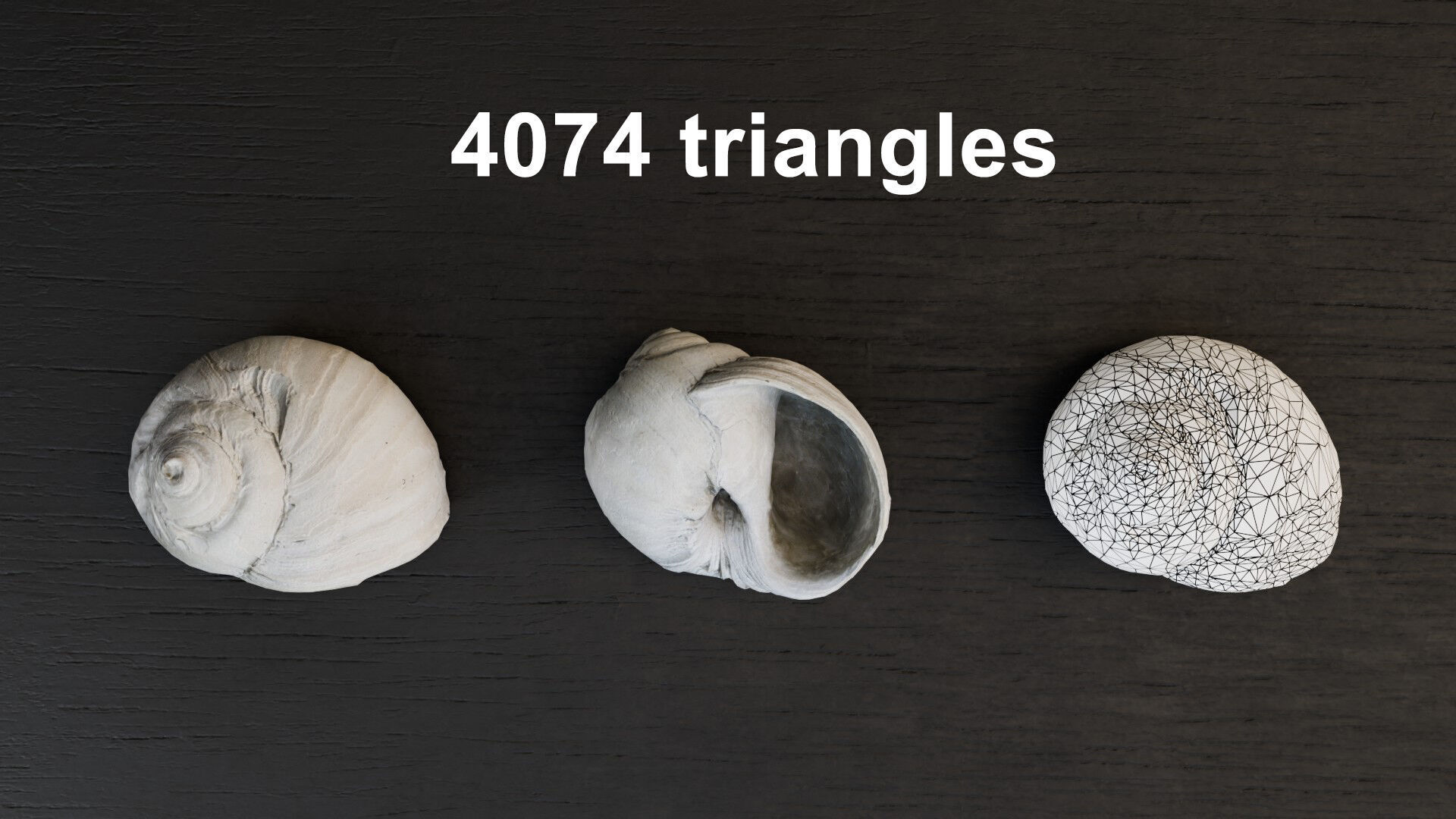 Sea shells collection Vol 3 Low-poly 3D model Low-poly 3D model_4