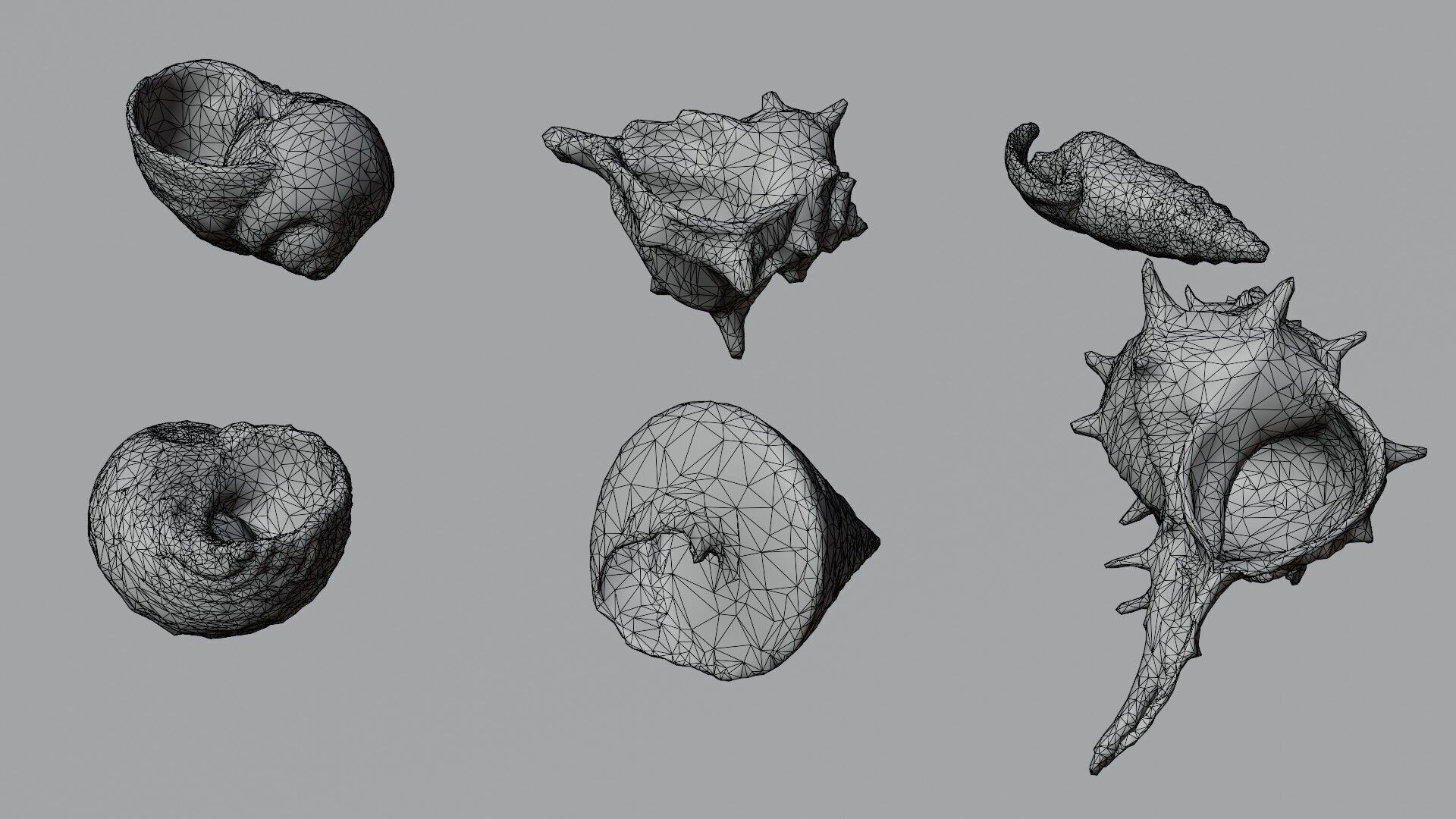 Sea shells collection Vol 3 Low-poly 3D model Low-poly 3D model_3