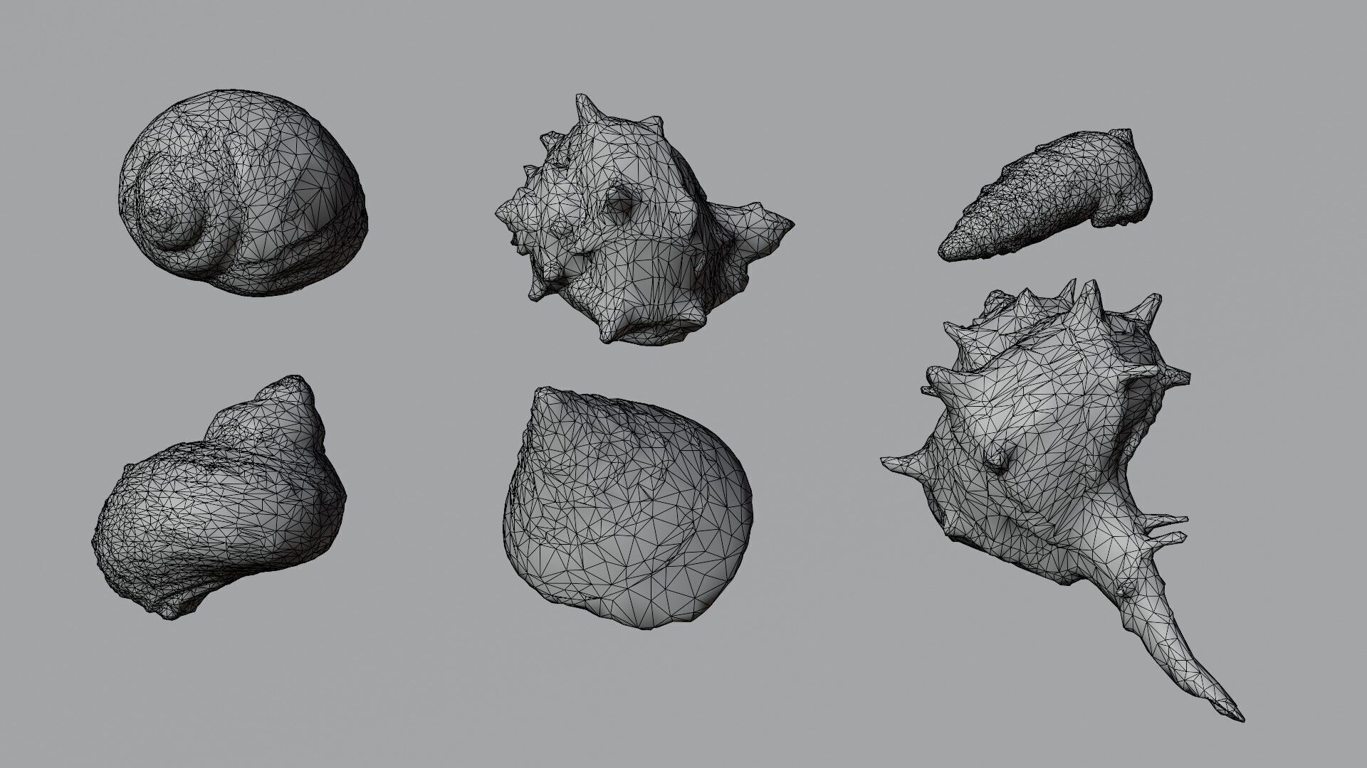 Sea shells collection Vol 3 Low-poly 3D model Low-poly 3D model_2