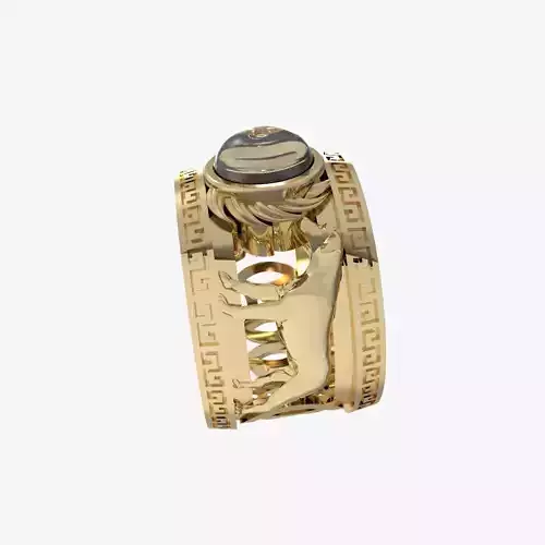 Men Ring 214