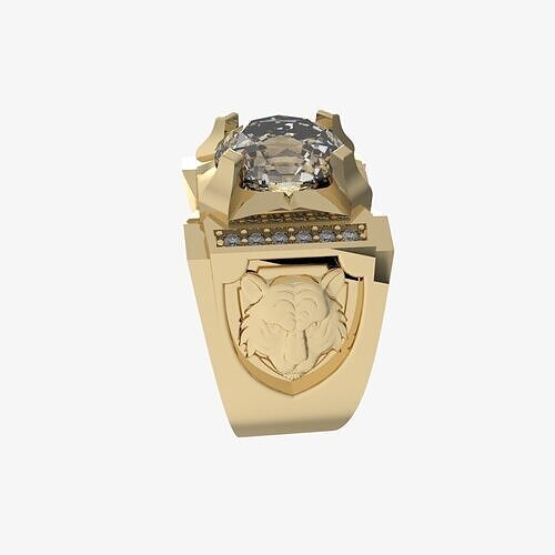 Men Ring 215 3D print model