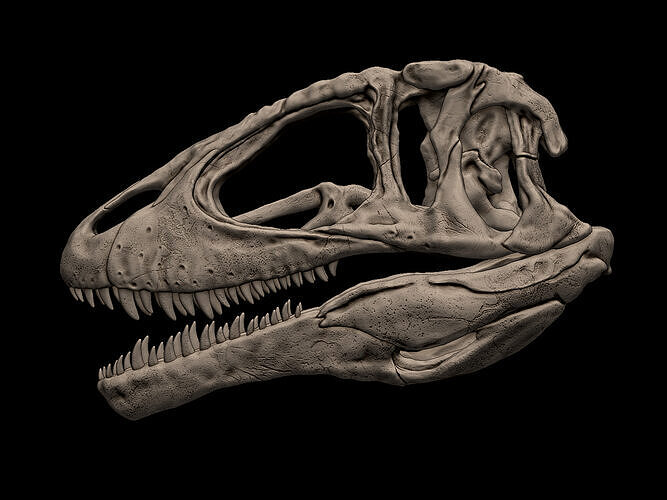 Carcharodontosaurus Skull 3D print model