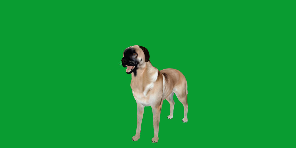 Kangal Shepherd Dog Low-poly 3D model_20