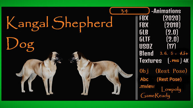 Kangal Shepherd Dog Low-poly 3D model