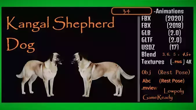 Kangal Shepherd Dog