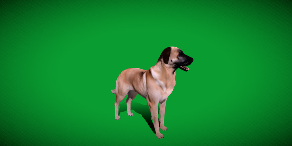 Kangal Shepherd Dog Low-poly 3D model_34