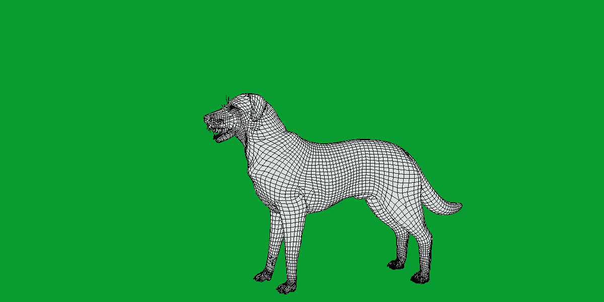 Kangal Shepherd Dog Low-poly 3D model_8