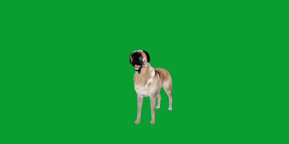 Kangal Shepherd Dog Low-poly 3D model_22