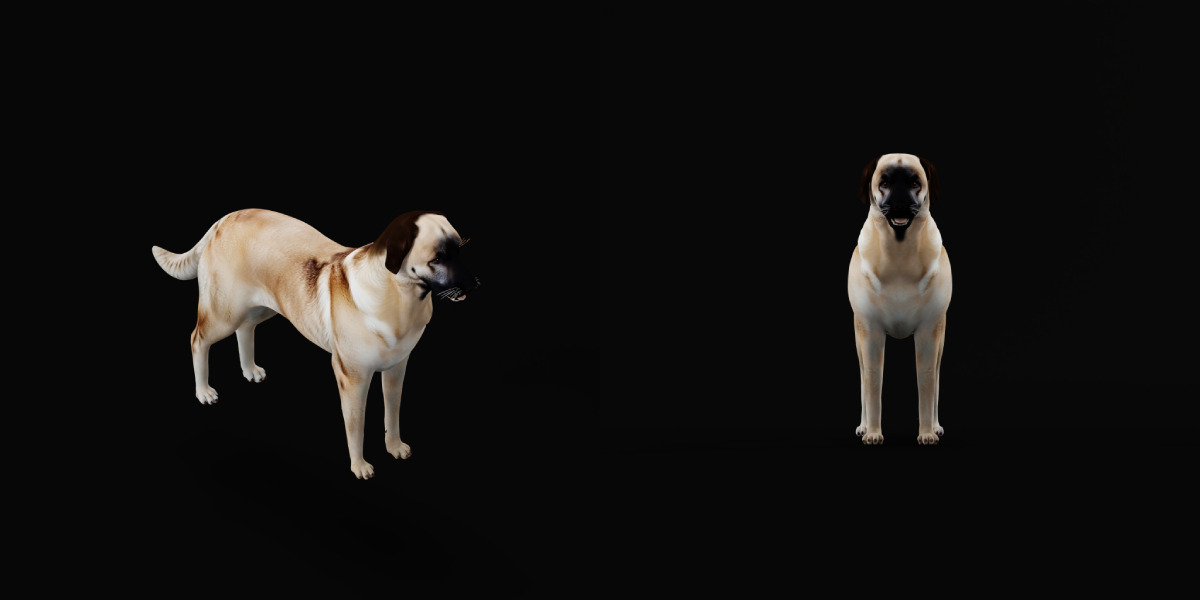 Kangal Shepherd Dog Low-poly 3D model_9