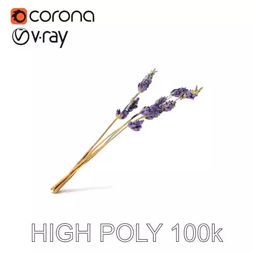 Lavender Bouquet D Model Pack