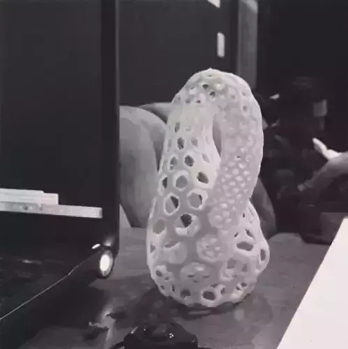 Hex Klein Bottle 3D model