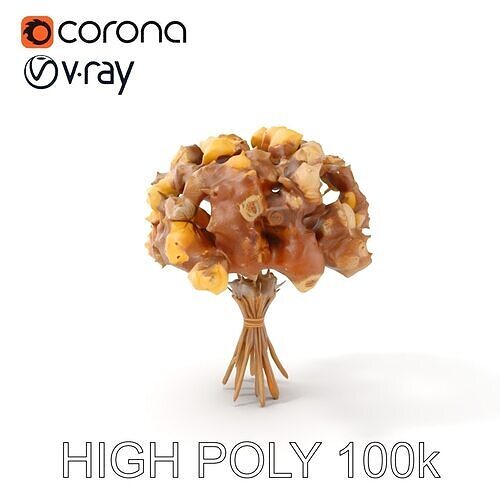 Elegant Dried Flower Bouquet Model Pack for Visualizations Low-poly 3D model