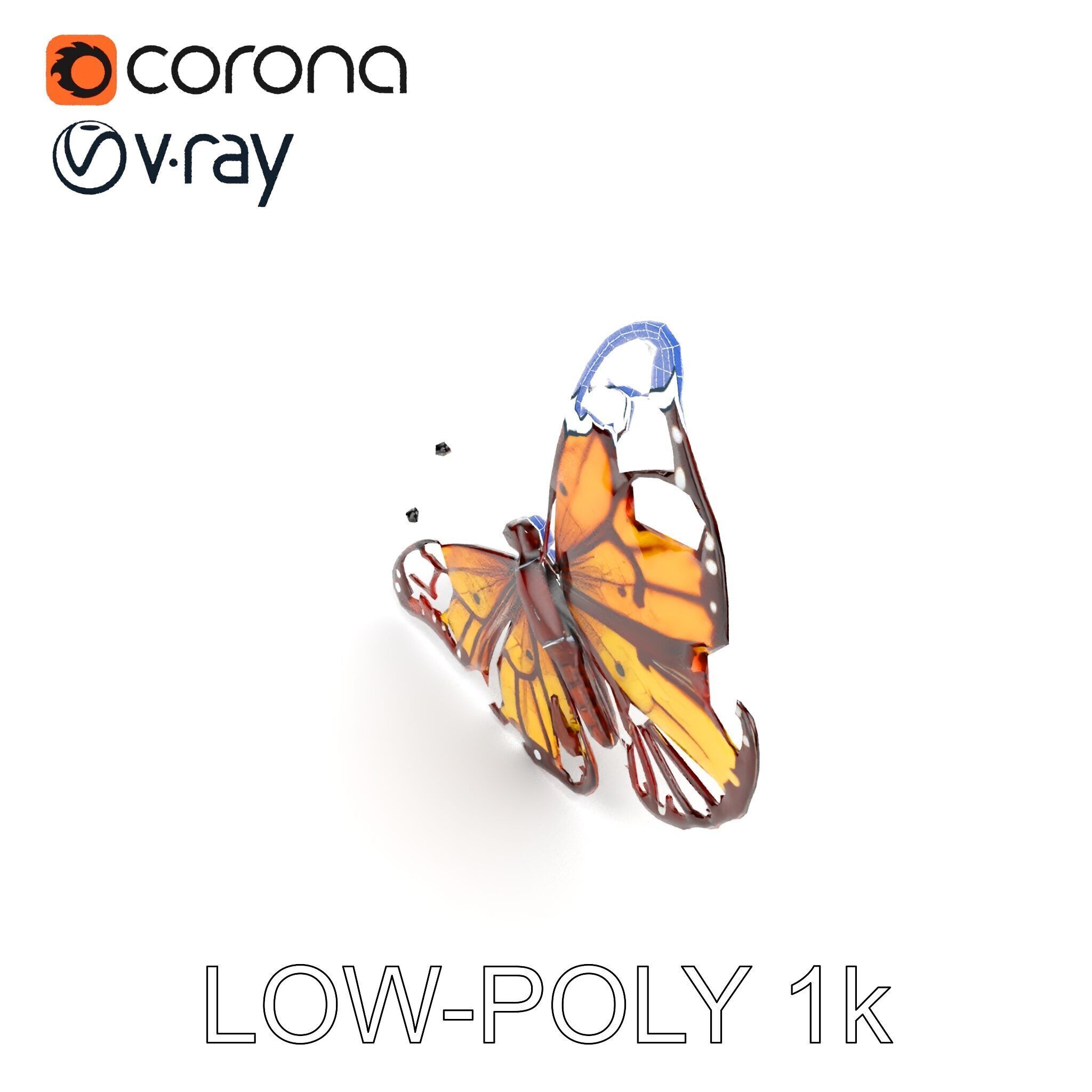 Monarch Butterfly D Model Pack Low-poly 3D model_29