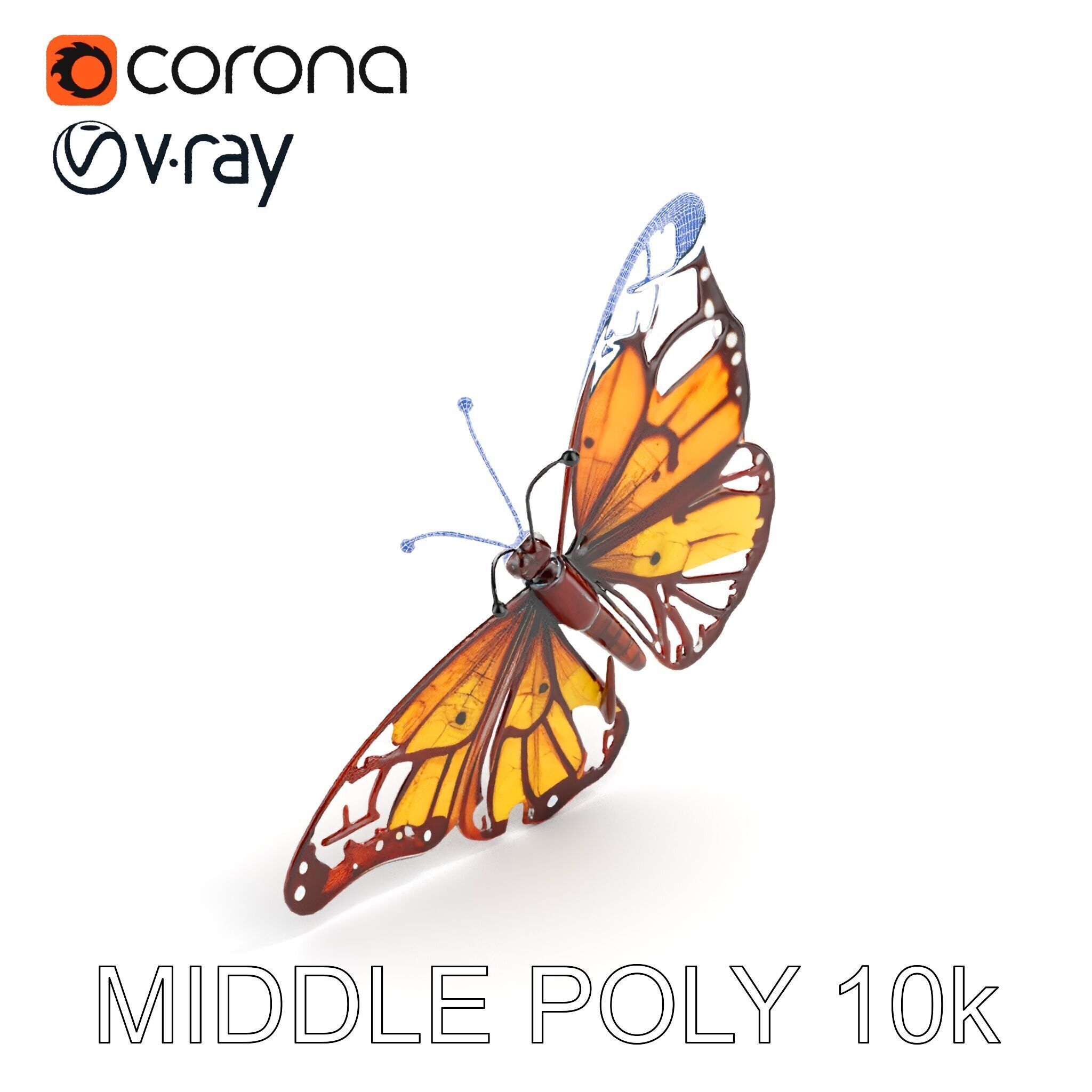 Monarch Butterfly D Model Pack Low-poly 3D model_28