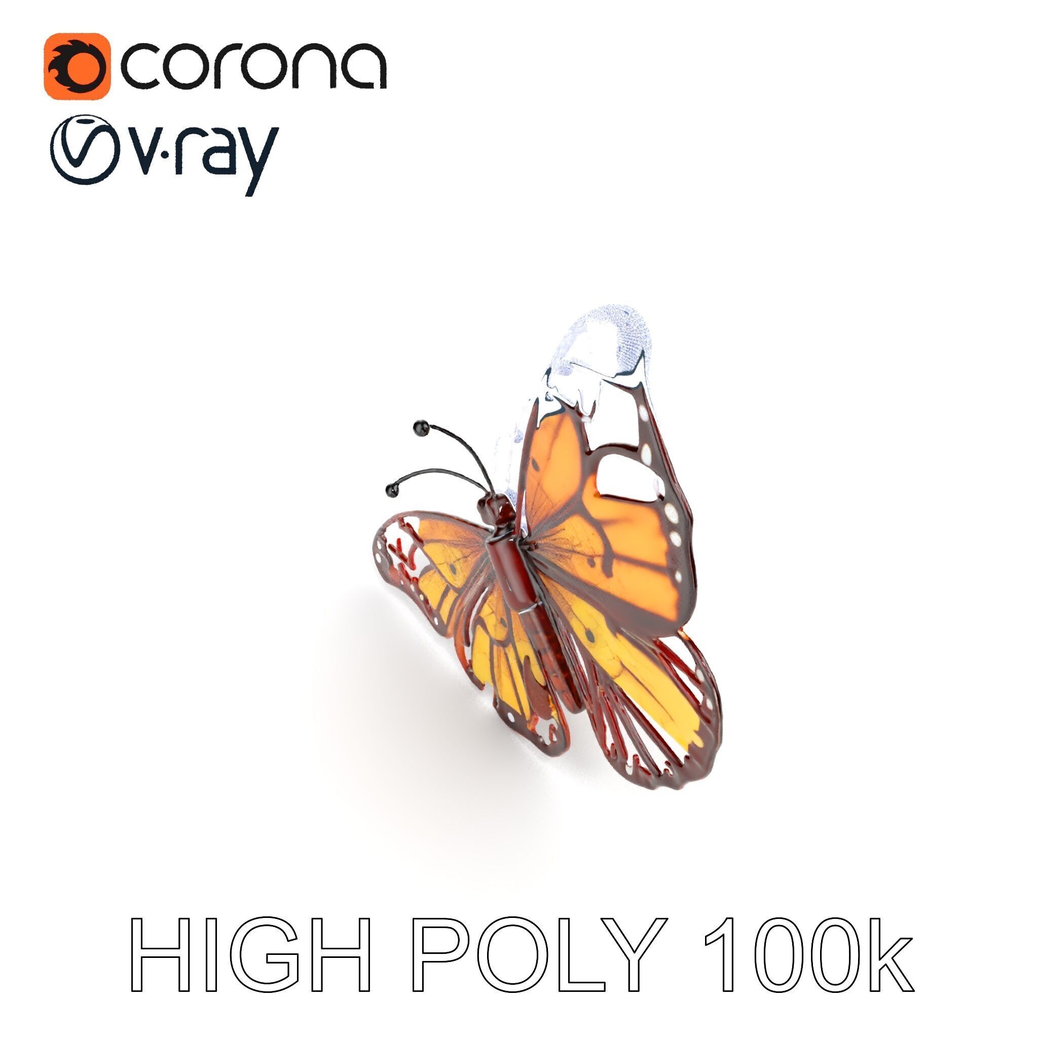 Monarch Butterfly D Model Pack Low-poly 3D model_32