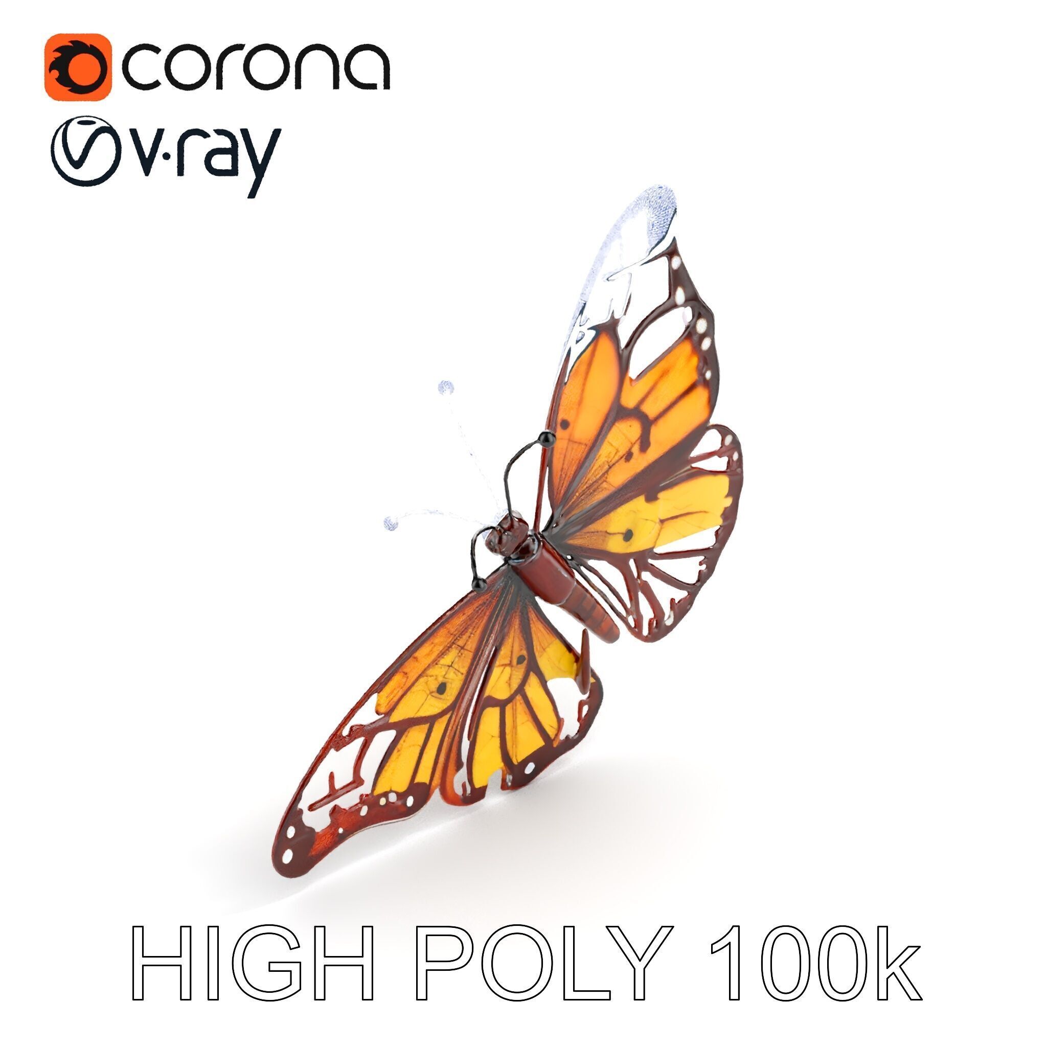 Monarch Butterfly D Model Pack Low-poly 3D model_27
