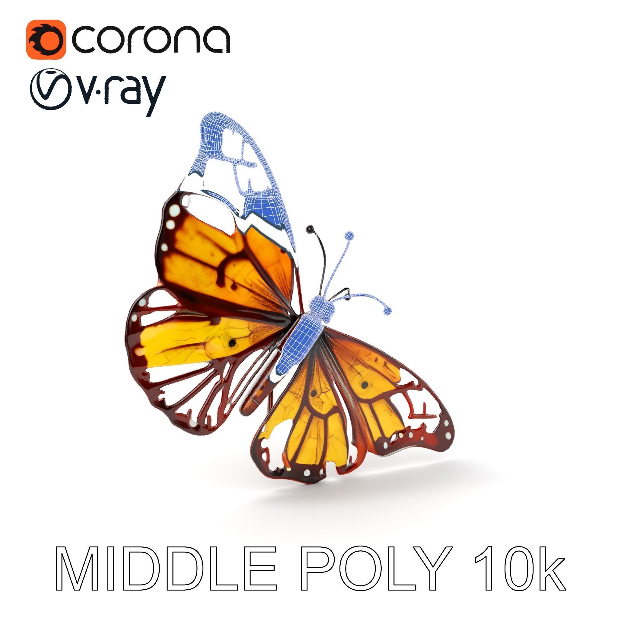 Monarch Butterfly D Model Pack Low-poly 3D model_20