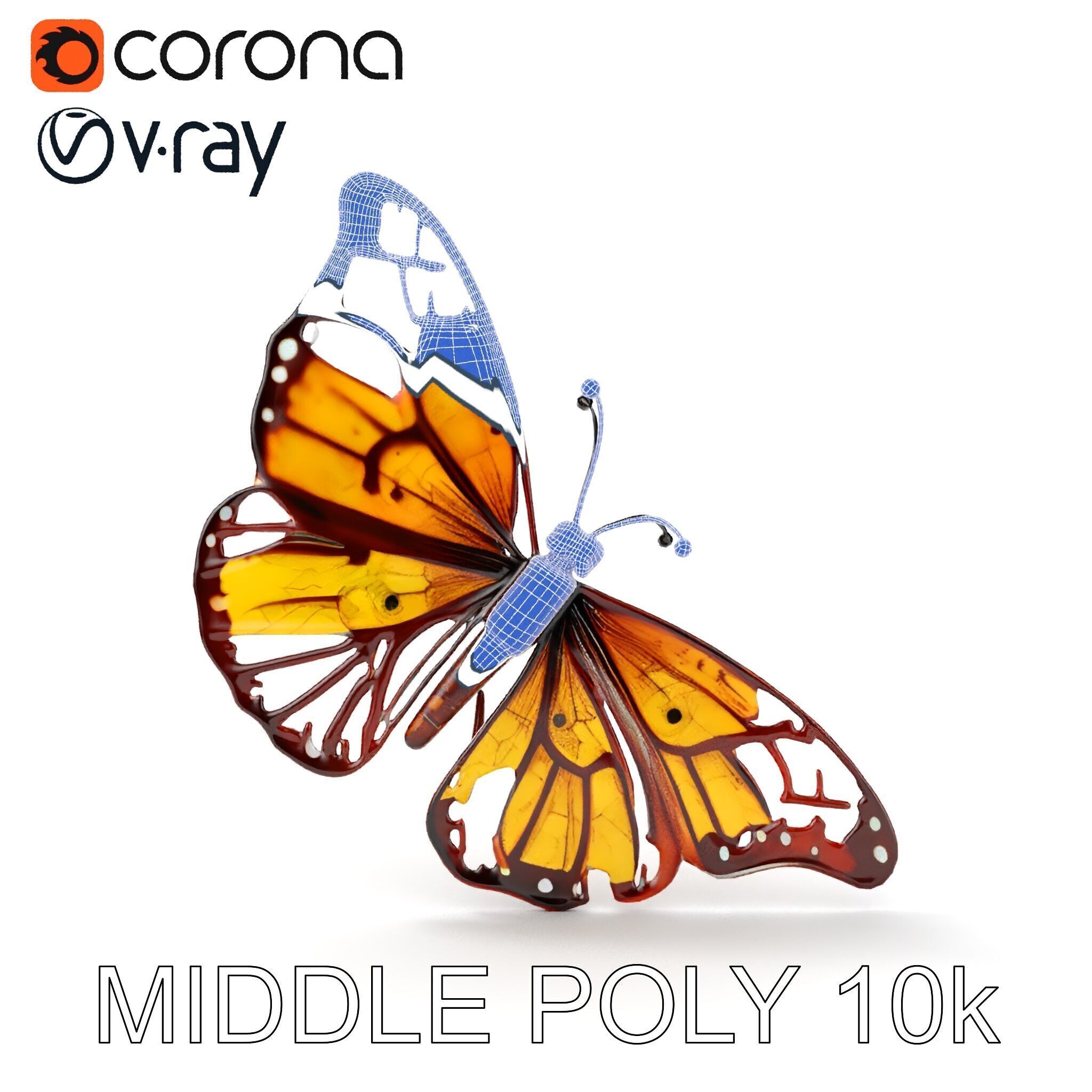 Monarch Butterfly D Model Pack Low-poly 3D model_11