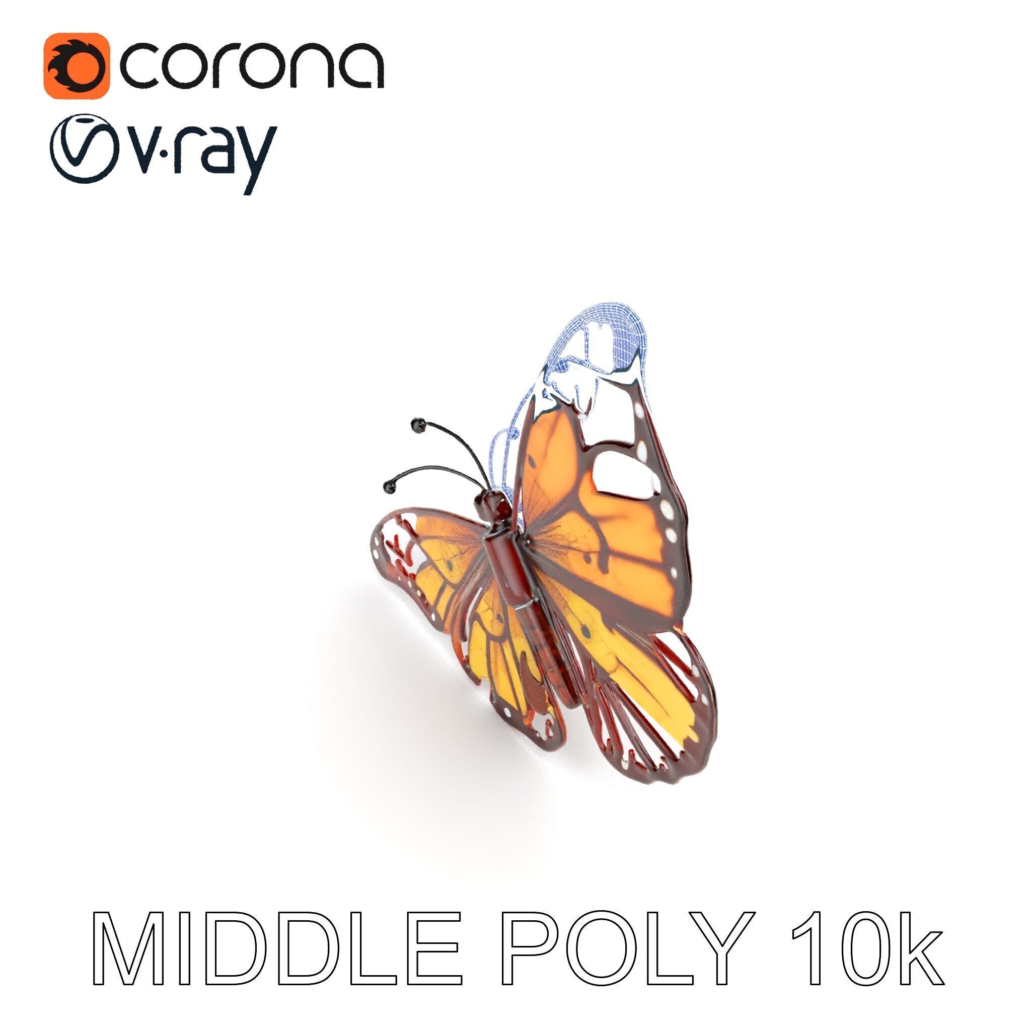 Monarch Butterfly D Model Pack Low-poly 3D model_8