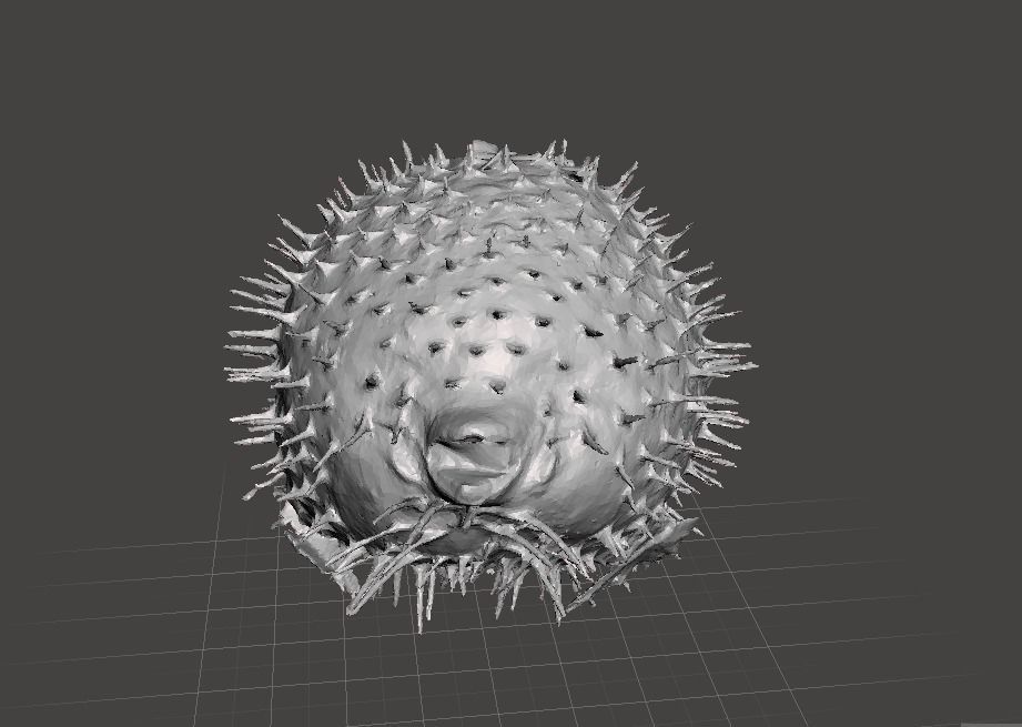 Puffer fish    3d model Free 3D model_4