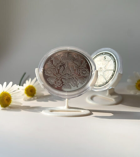 Coin Display  3D print model