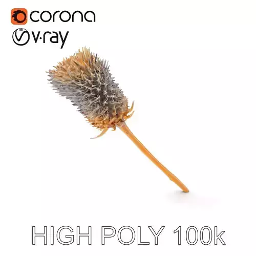 Thistle Model Pack  Detailed Botanical D Model