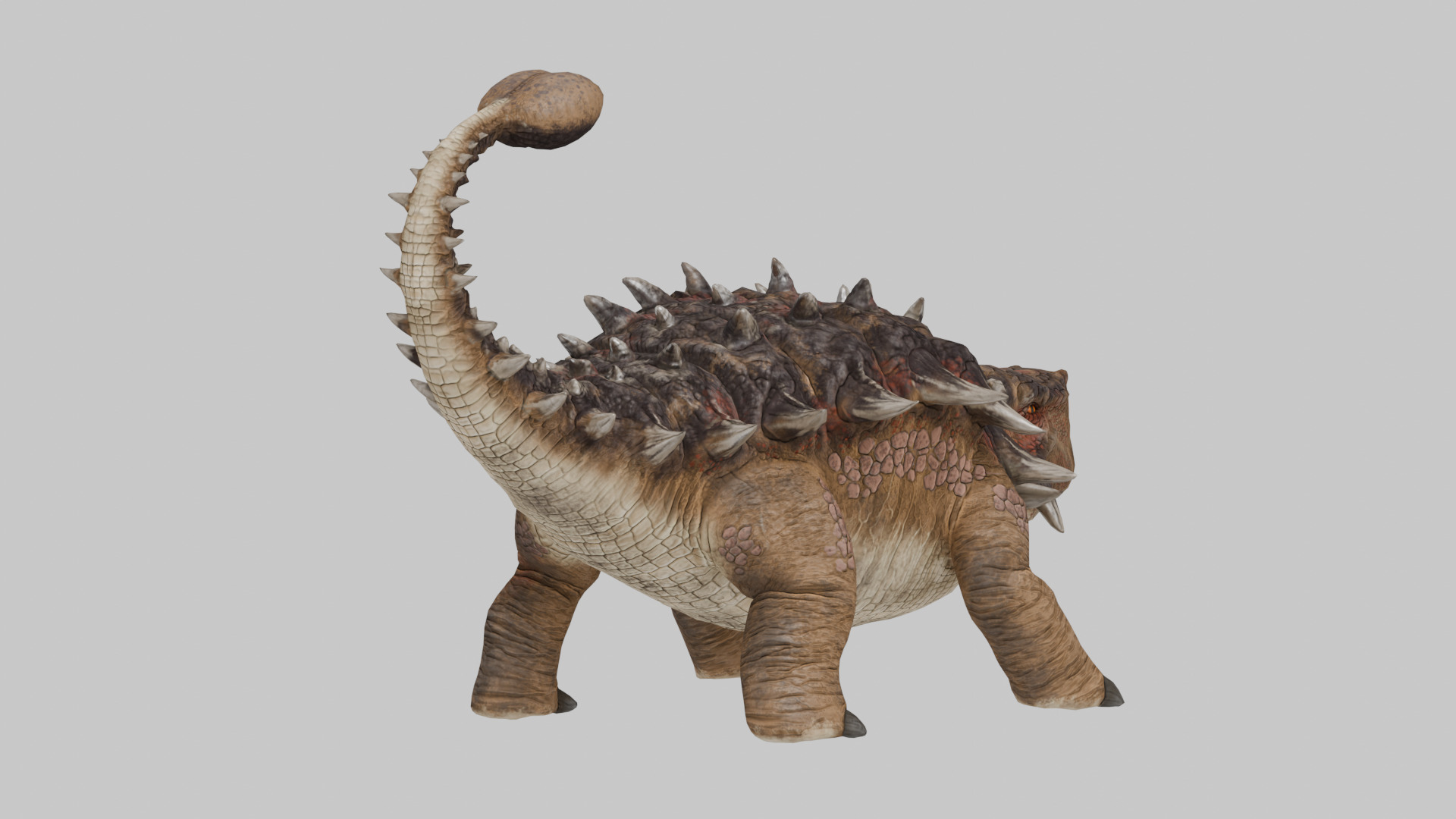 Ankylosaurus model 3D 3D model_4
