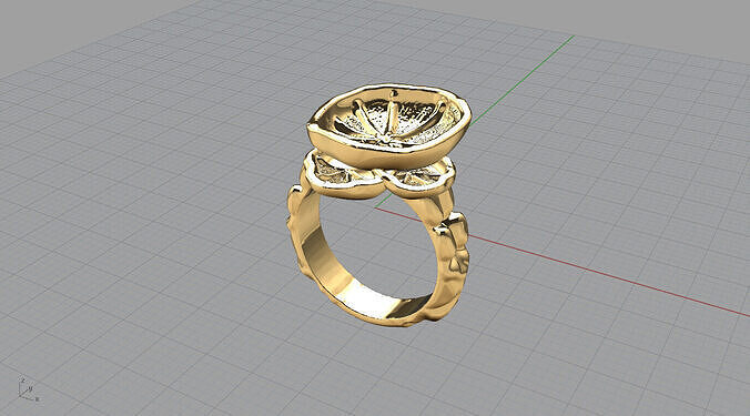 Golden Harvest Ring 3D print model