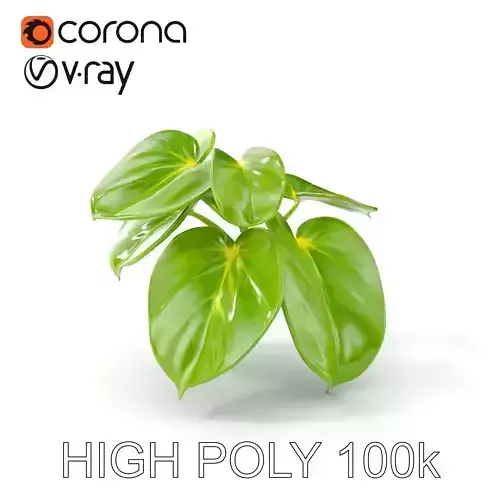 Philodendron Plant D Model Pack for Interiors and Games